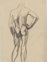 後ろから見た男性モデル