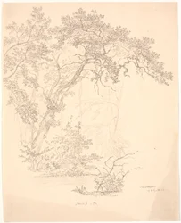 木