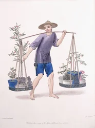 果樹と花のポーター、c.1800-01
