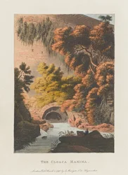 クロアカ・マキシマ