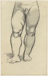 裸の少年の下半身