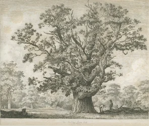 ニードウッド-スウィルカーオーク：エッチング、ND [c 1820-1850]