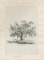 タットベリー-「ウィッチエルム」：彫刻、nd [c 1820]
