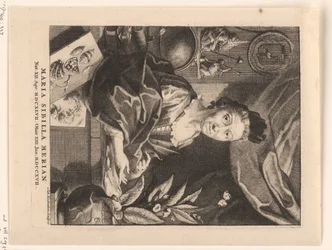 ポートレット・ヴァン・マリア・シビラ・メリアン Maria Sibylla Merian (オブジェクトのタイトル)