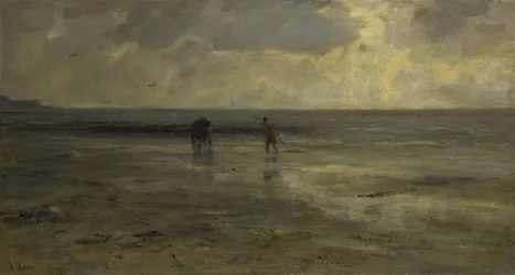 夜のビーチ