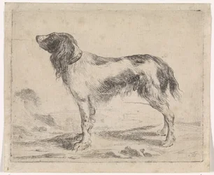 立ち犬 犬（シリーズタイトル）