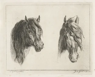 2 つの馬の頭