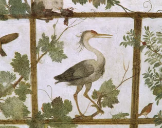アイビス、メディチ家の鳥小屋のフレスコ画、1576-77年頃
