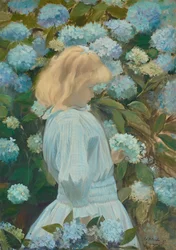 ホルテンシアの少女