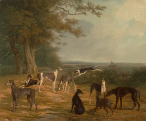 Nove galgos em uma paisagem
