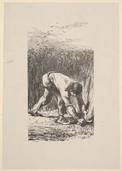 リーパー、1853年。