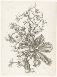 チューリップ、ヒヤシンス、ブロディアエア、水仙のブーケ Diverses Fleurs mises en Boucquets (連載タイトル)