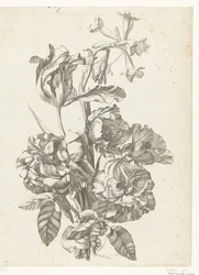 牡丹、チューリップ、ブローディアのブーケ Diverses Fleurs mises en Boucquets (連載タイトル)