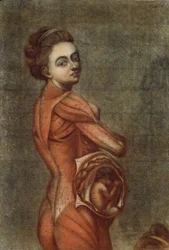 妊娠中の女性、1778年の色の解剖学的イラスト