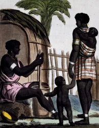 ジャック・グラッセ・ド・サン＝ソーヴル（1757-1810）の『航海の百科事典』に掲載されたラブローズ（1796年活躍）の絵からのカラーエングレーヴィング。