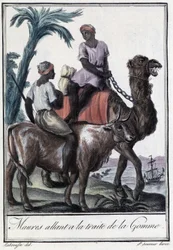ゴム交易に向かうムーア人たち - グラセ・サン・ソヴール著『旅行百科事典』所収、1796年刊