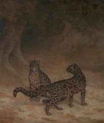 Clouded Leopards   1433153   ja       japanese Successfully Translated  Original: Charles I of Austria (1887-1922), c.1916 (oil on canvas) Translat: Charles I of Austria (1887-1922), c.1916 (oil on canvas) 1456449 ja japanese Successfully Translated Origin