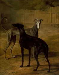 ローラとポーシャ