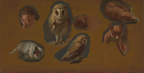 Studies of a Fox, a Barn Owl, a Peahen, and the Head of a Young Man   1432617   ja       japanese Successfully Translated  Original: Caroline Wilhelmina of Brandenburg-Ansbach Translat: Caroline Wilhelmina of Brandenburg-Ansbach 1460179 ja japanese Success