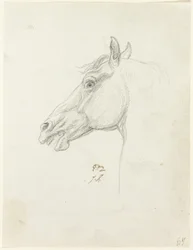 馬の頭