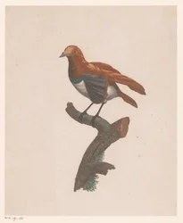 枝にとまる鳥