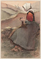 荒野の花、1897年。