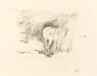 馬の習作、1895年。