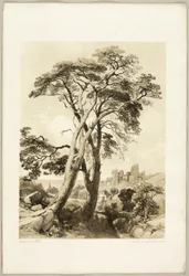 「公園と森」のスコッチファー