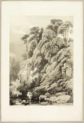 「公園と森」よりウィッチニレとモミ