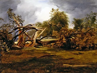 The Blasted Oak（油彩・ボード）