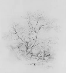 少年フィッシング