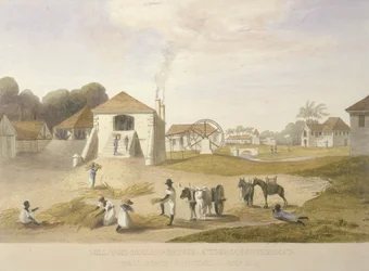 Mill Yard、Holland Estate、St. Thomas in the East