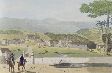 1824年フィールディングによって彫刻された「ジャマイカ島の絵のようなツアー」からのセントジェームスモントピーリアエステート
