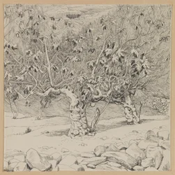 イチジクの木、ヒンノムの谷、私たちの主イエス・キリストの生涯のイラスト（紙にインク）