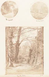 アプローチ、森の中、湖畔、1853-56年。