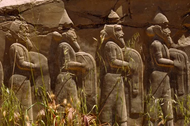 ペルセポリスの入り口にある古代ペルシャ戦士の浮き彫り。イラン、ペルセポリス。