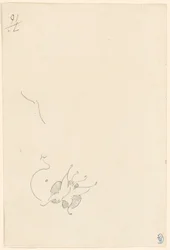 蝶