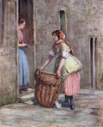 ニューヘブンフィッシュワイフ