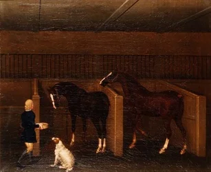 馬小屋の中の花婿と馬と犬