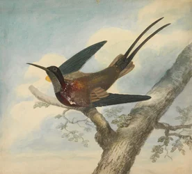 Bird of Paradise and Verso: Sketch of a Flower   1437411   ja       japanese Successfully Translated  Original: A large man eating a tiny lady and her house. Translat: A large man eating a tiny lady and her house. 1455326 ja japanese Successfully Translate