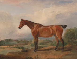 Um caçador em uma paisagem