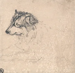 北極犬、左向き