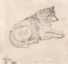 北極犬、右向き