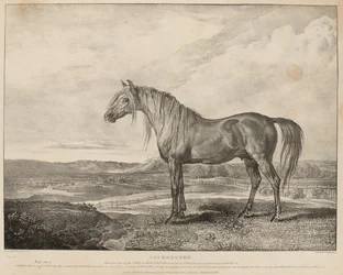 「ワーテルローの戦いでウェリントン公が騎乗した馬コペンハーゲンは、グローヴナー将軍によって育成された」、1824年頃