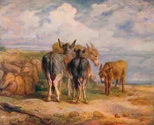 ロバ、c1831 1904