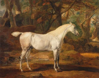 Grey Arabian stallion, the property of Sir Watkin Williams-Wynn   1432327   ja       japanese Successfully Translated  Original: Japanese woman a white fox with 9 tails and a monkey (woodblock print) Translat: Japanese woman a white fox with 9 tails and a 