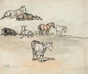 Estudos de Cavalos