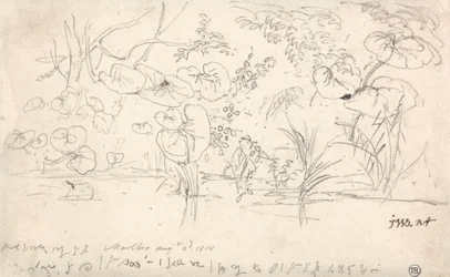植物の研究、1815 年 8 月 2 日