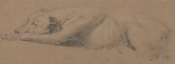 眠る犬の習作
