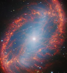 近傍銀河（NGC 2566）の詳細な観察